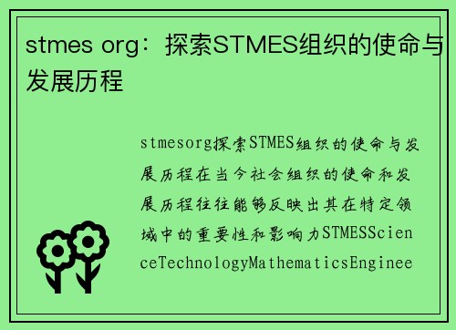 stmes org：探索STMES组织的使命与发展历程